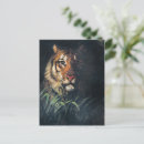 Search for tiger head postcards Portrait