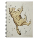 Search for ursa major Celestial