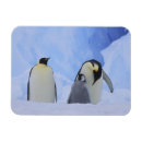 Search for emperor magnets Ice