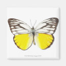Search for fauna magnets Girly