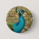 Search for peafowl badges Blue