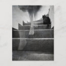 Search for phantom postcards Cat