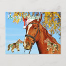 Search for equestrian image postcards Horse lover