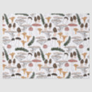 Search for mushroom tissue paper Fungi