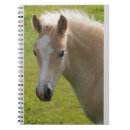Search for breed Purebred