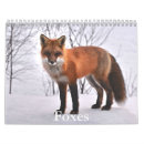 Search for fox calendars Mammal