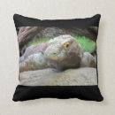 Search for dinosaur photography For her