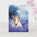 Search for bully pet supplies Bull terrier