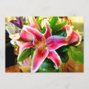 Search for stargazer lily invitations Flowers