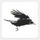 Search for the crow stickers Gothic
