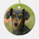 Search for miniature dachshund christmas tree decorations Canine photographer