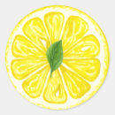 Search for slice of lemon stickers Watercolor