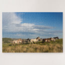 Search for wild horse puzzles Ranch