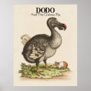 Search for dodo posters Illustration