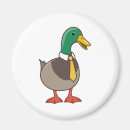 Search for cartoons magnets For him