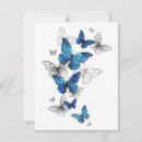 Search for butterflies rsvp cards Butterfly
