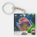 Search for aquarium key rings Cute