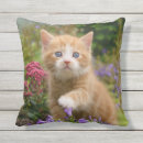 Search for ginger cat cushions Kitty