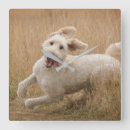 Search for goldendoodle art Animal