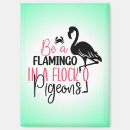 Search for flocking rectangular magnets Flamingo