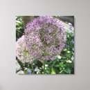 Search for allium art Floral