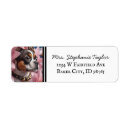 Search for boston terrier return address labels Puppy