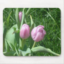 Search for pink tulip mousepads Tulips