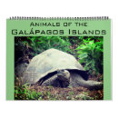 Search for seal calendars 2027
