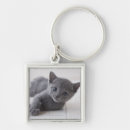 Search for cat looking key rings Nature