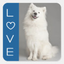 Search for american eskimo stickers Eskie