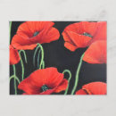 Search for poppies postcards Nature