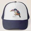 Search for crest hats Bird
