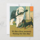 Search for pet party invitations Dogs