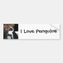 Search for penguins bumper stickers Wild