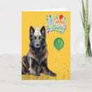 Search for tervuren cards Dogs