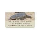 Search for shore return address labels Hawaii