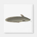 Search for catfishing magnets Lake