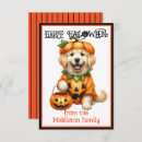 Search for dog halloween cards Golden retriever