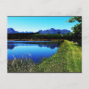 Search for vineyard postcards Wine