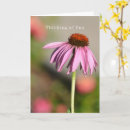 Search for thinking photography Flowers