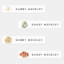 Search for seashell labels Watercolor