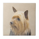 Search for australian tiles Puppy