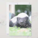 Search for africa photography Baby