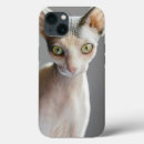 Search for sphinx iphone cases Hairless