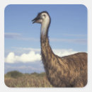 Search for emu stickers Nature