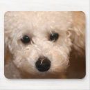 Search for poodle mousepads Puppy