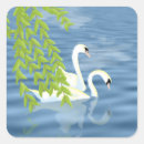 Search for swan stickers Beautiful