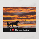Search for horse sports postcards Equine