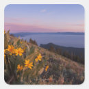 Search for national flower stickers Landscape