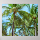 Search for tropical palm trees posters Summer